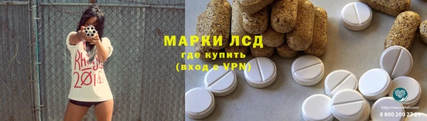 прущие грибы Лагань